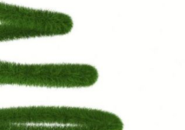 Solidarios con el Árbol de ENAE Business School