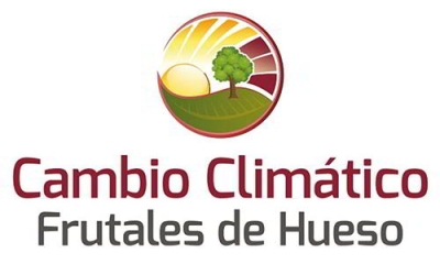 Noticias xml feed