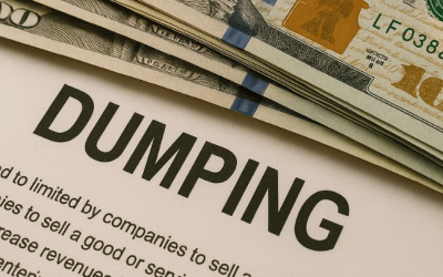 ¿Qué es el Dumping?